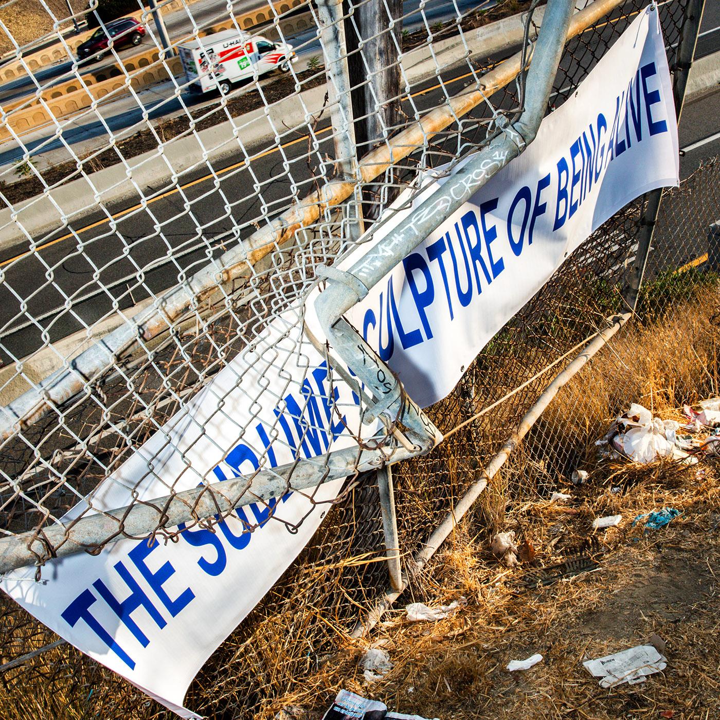 The Sublime Sculpture of Being Alive Vinyl Record