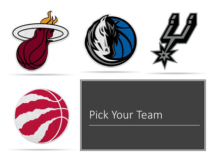 Minnesota Timberwolves Pennant Primary Logo 18 Inch Soft Felt