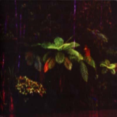 MENSTRUATION SISTERS - Puppet Island Vinyl Record