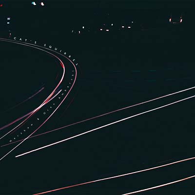 MERZBOW & OREN AMBARCHI - Cat's Squirrel Vinyl Record