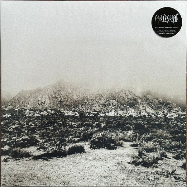 Mnemonic: Ambient Mosaic  Vinyl Record