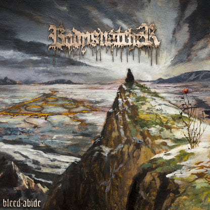 Bleed-Abide Vinyl Record