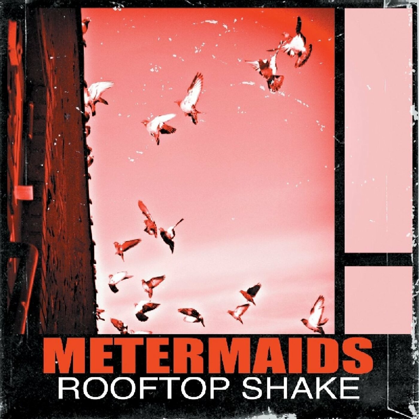 Rooftop Shake Music CD