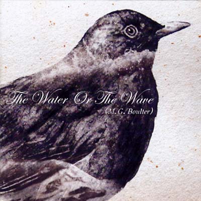 The Water or the Wave  Music CD
