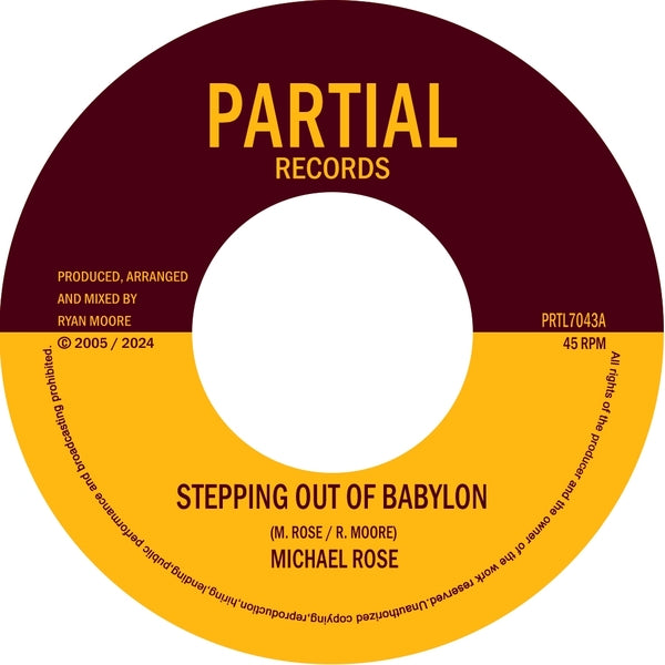 Stepping Out Of Babylon Vinyl Record