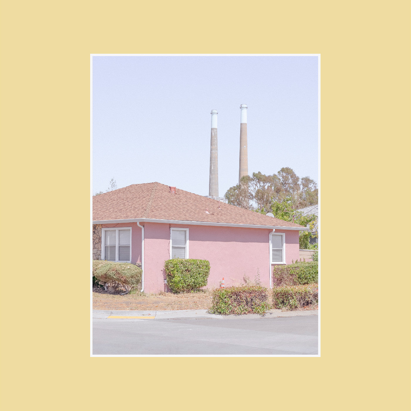 The Tinnitus Chorus Vinyl Record