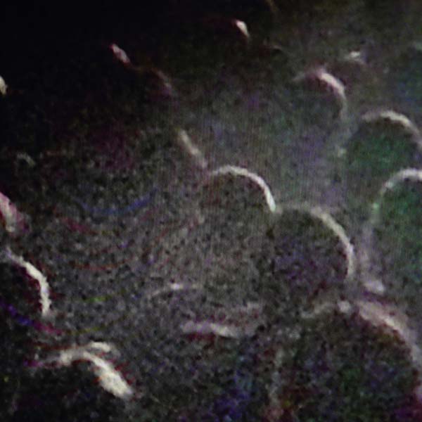 Live a La Gaite Lyrique Vinyl Record