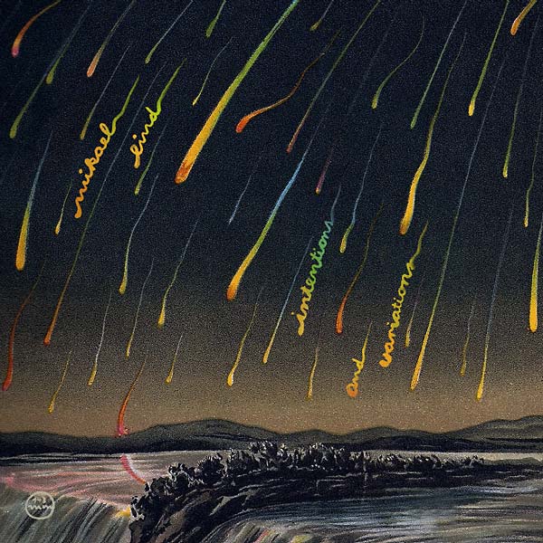 MIKAEL LIND - Intentions and Variations Vinyl Record