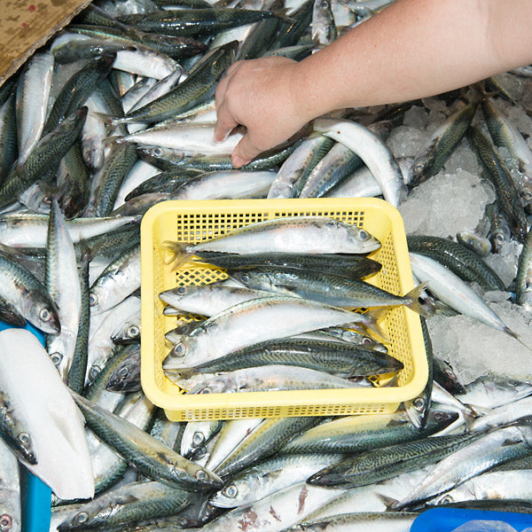 Processed Snippets: Congo Traditional 1952 & 1957 Vinyl Record