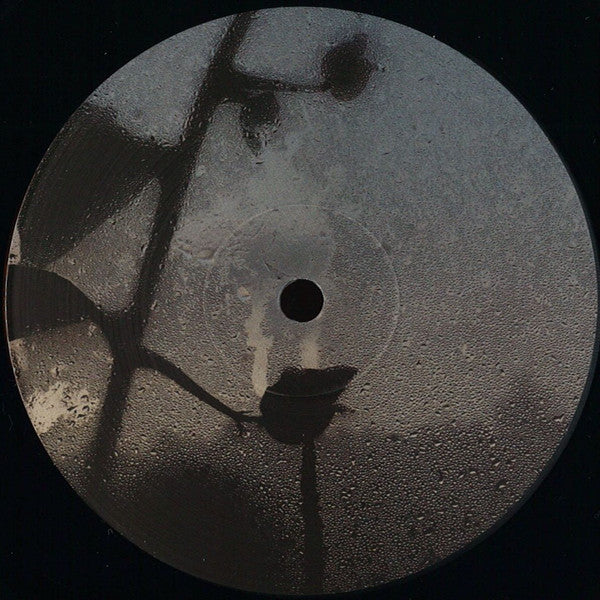 Chroniques Binaires Vinyl Record