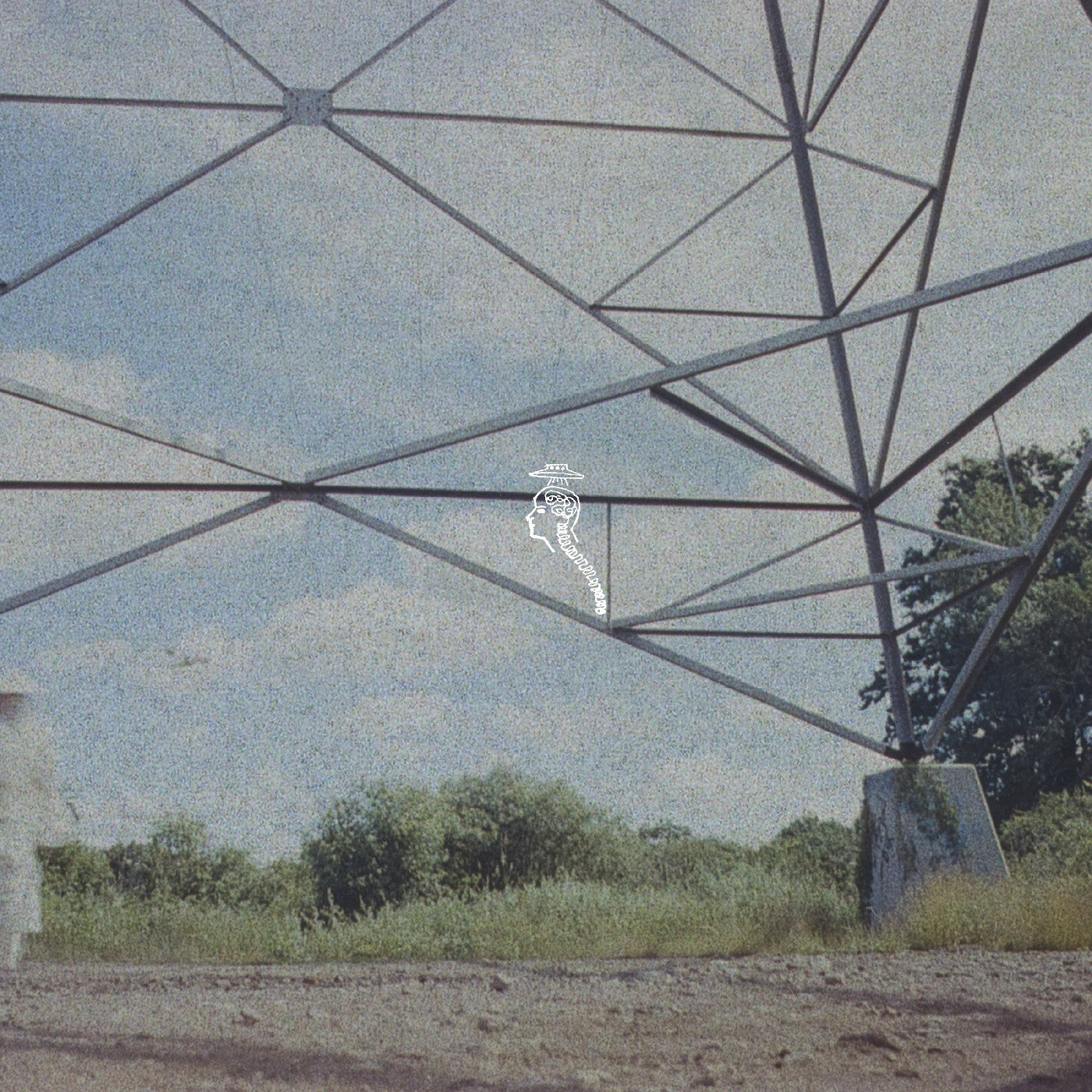 Flamingo Tower (Flamingo Pink Vinyl) Vinyl Record