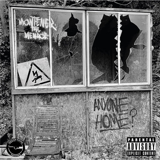 Anyone Home? Vinyl Record