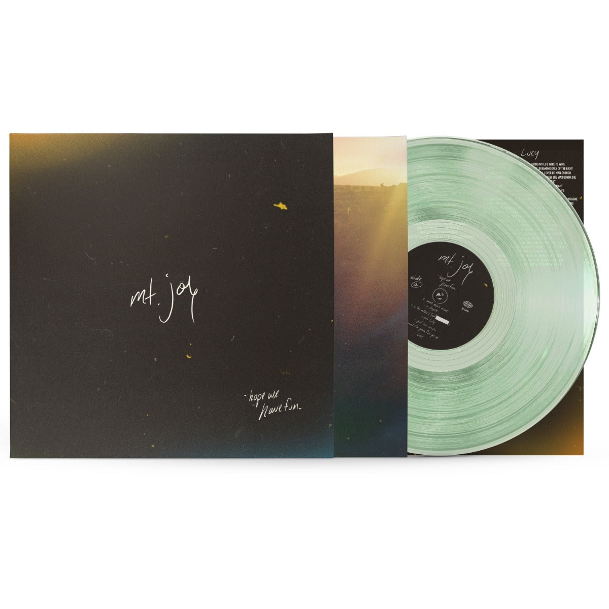 Hope We Have Fun [180g Coke Bottle Clear LP] Vinyl Record
