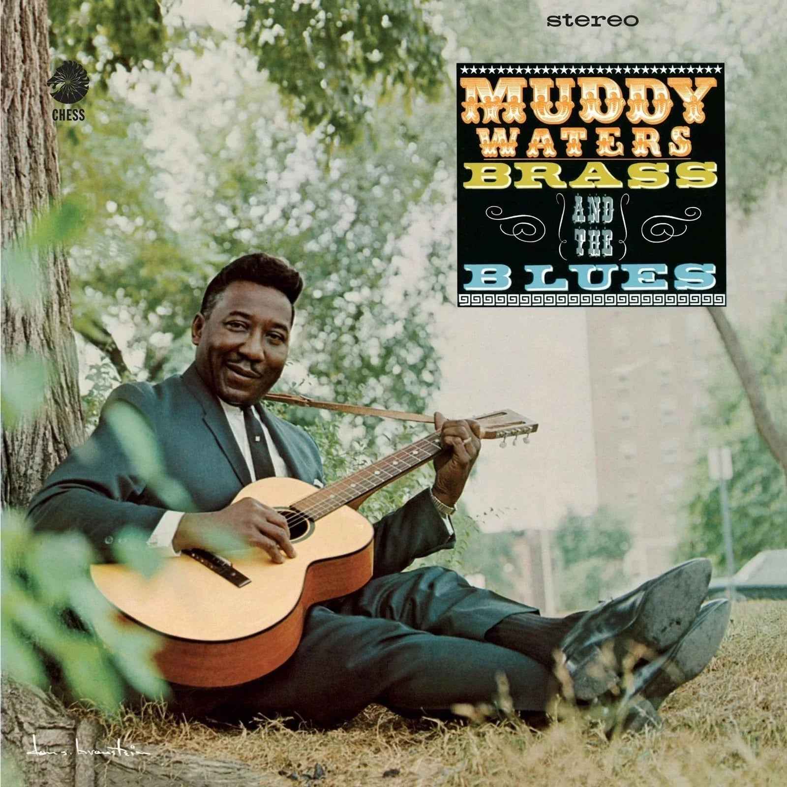 Muddy Waters - Muddy, Brass And The Blues (Chess Acoustic Sounds Series) [180G LP] [Vinyl] Vinyl Record