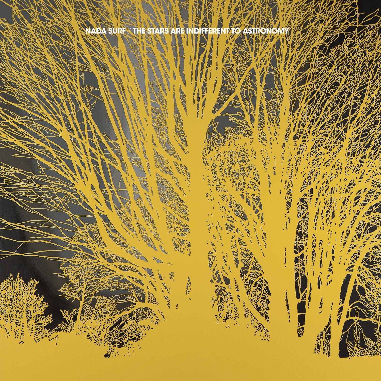 The Stars Are Indifferent To Astronomy Music CD