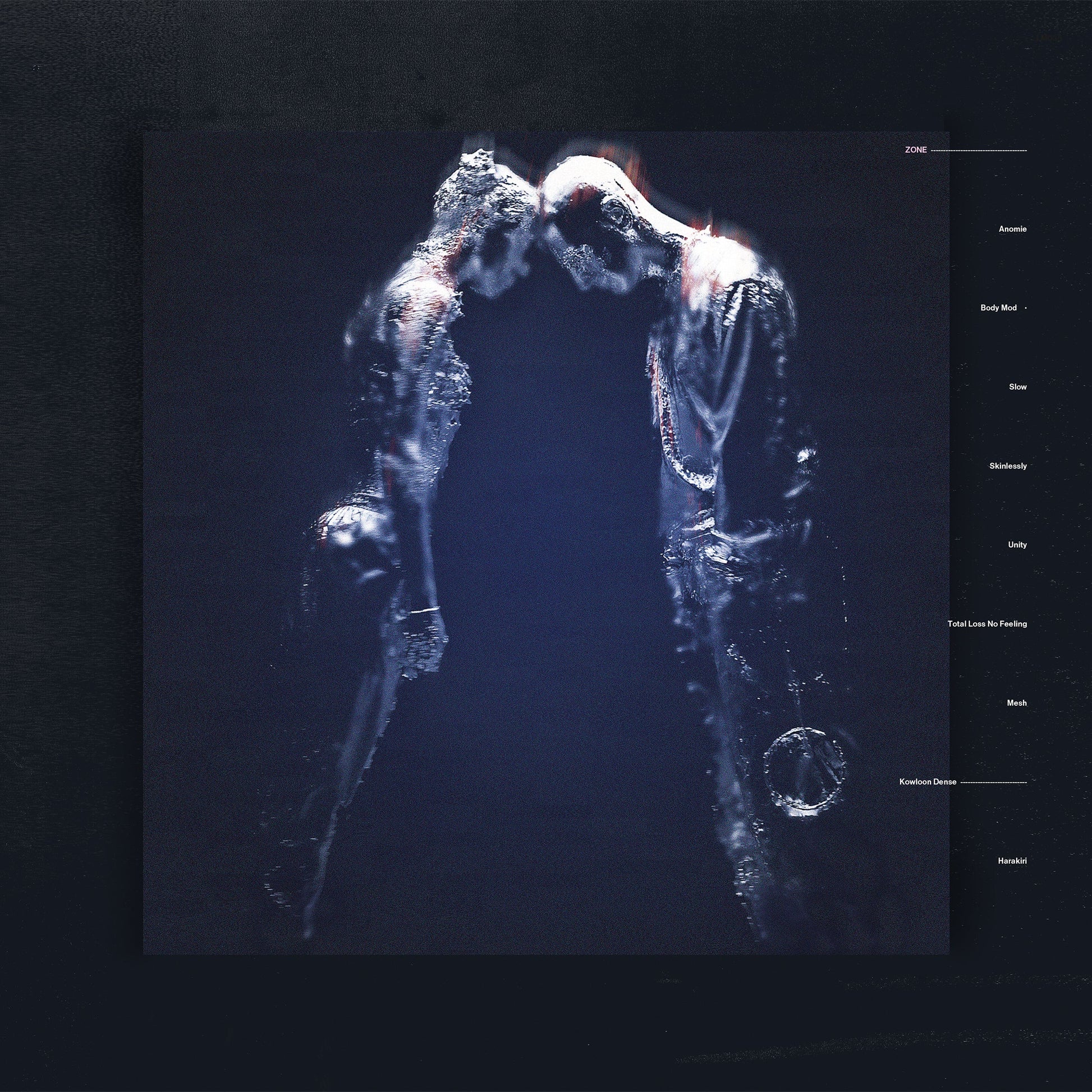 Zone Vinyl Record