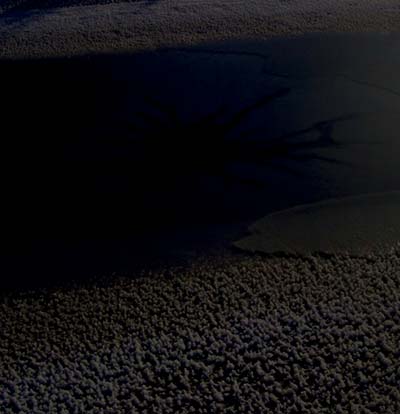 Polar Satellites Vinyl Record