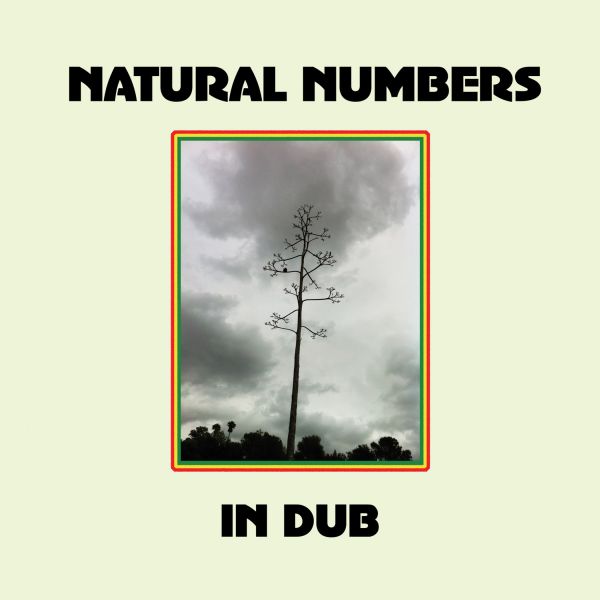 Natural Numbers in Dub Vinyl Record