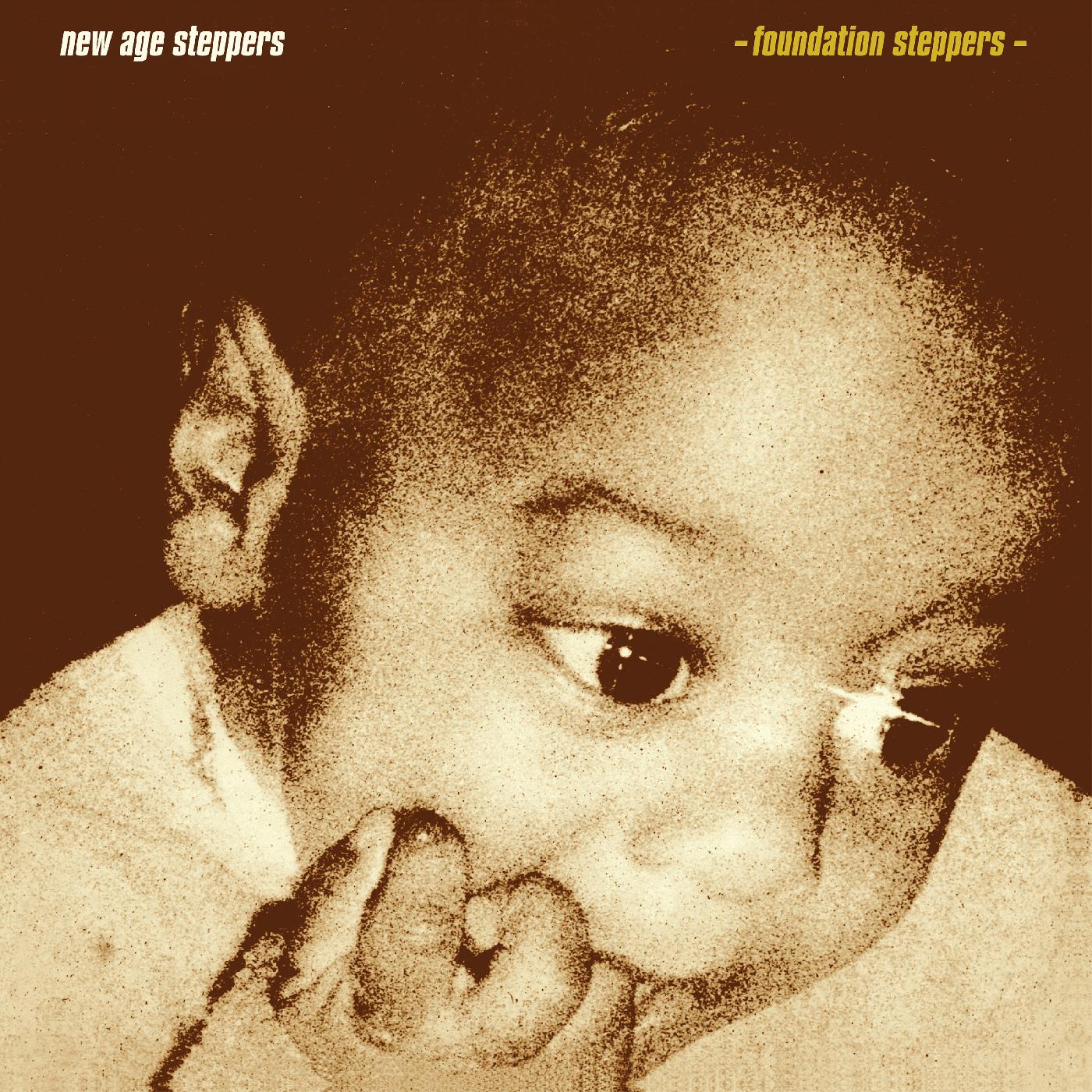Foundation Steppers Vinyl Record