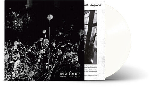 New Forms - Nothing'S Sacred Anymore [Clear Vinyl] [Vinyl] Vinyl Record