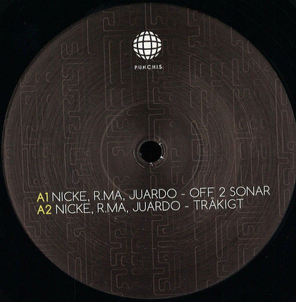 Analog Vision  Generic Vinyl Record