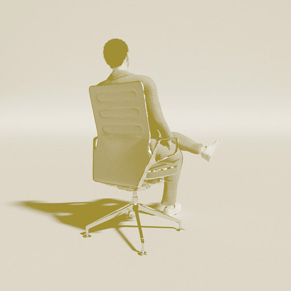 The Collection  Music CD