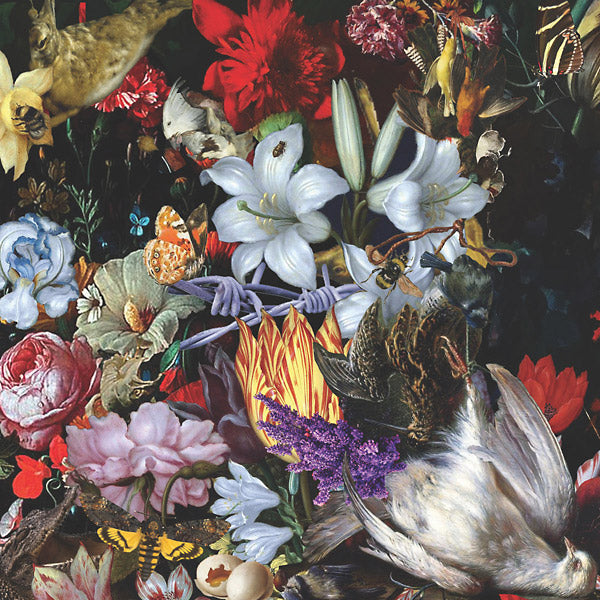 Nightingales - Perish The Thought Vinyl Record