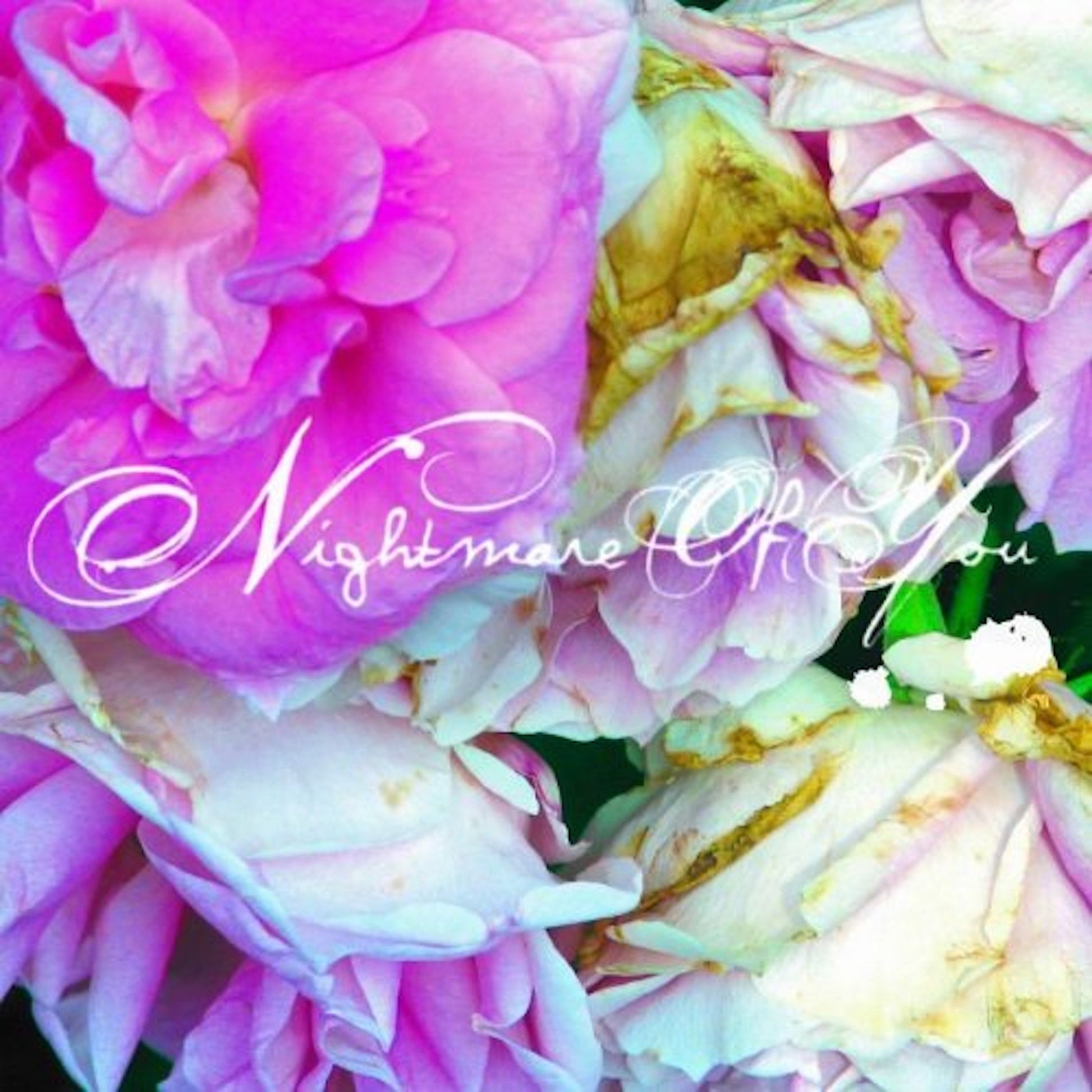 Nightmare Of You [Vinyl] Vinyl Record