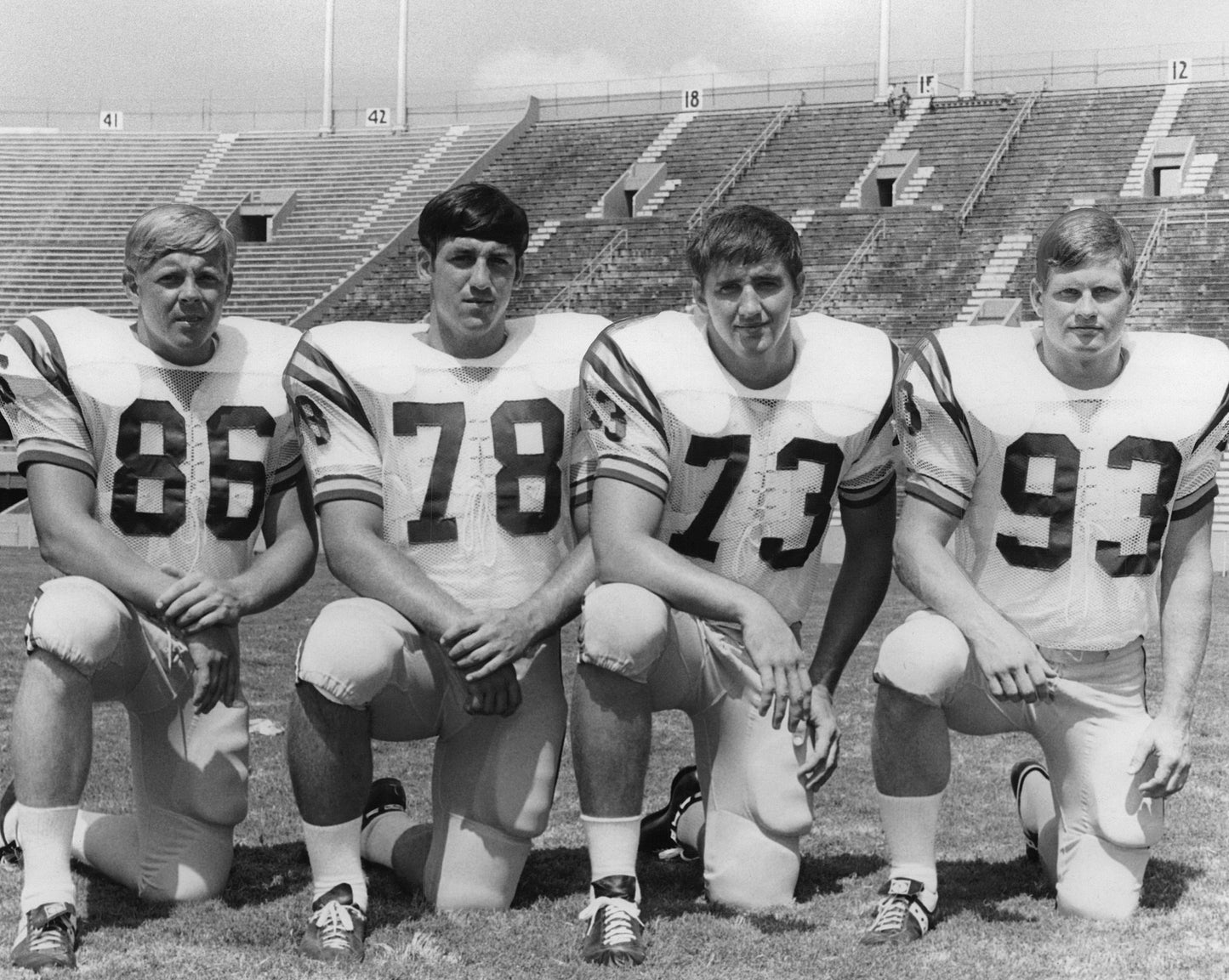 LSU by the Numbers: The Greatest Tigers in History (and Those Who Almost Made It) Book