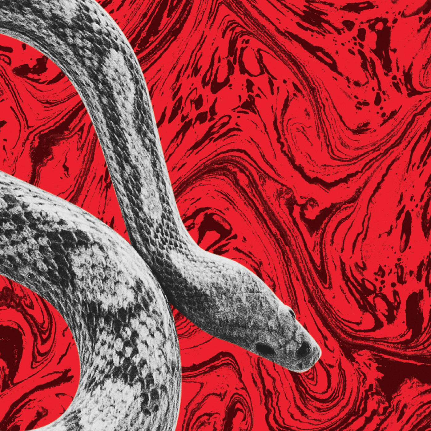 California/All Your Love (7" VINYL) Vinyl Record