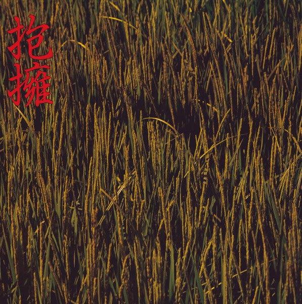 Houyou (抱擁 Vinyl Record