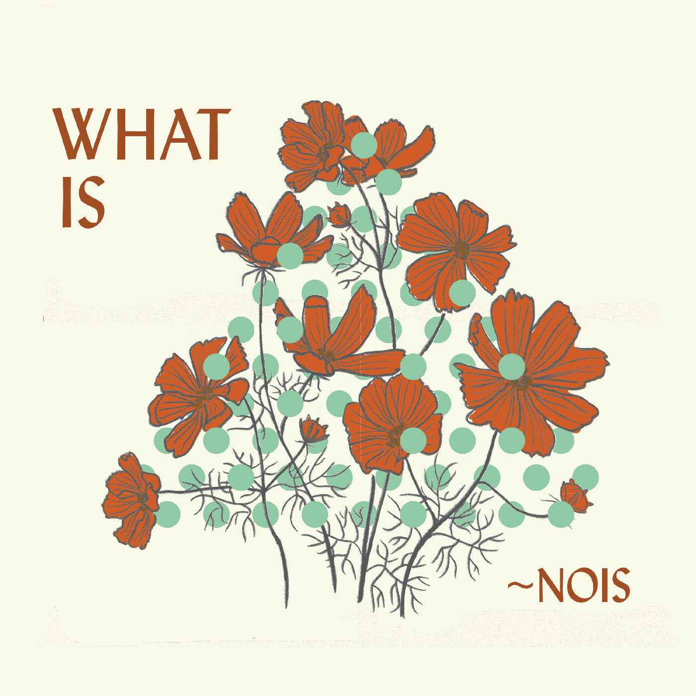 ~Nois - What Is ~Nois? [CD] Music CD