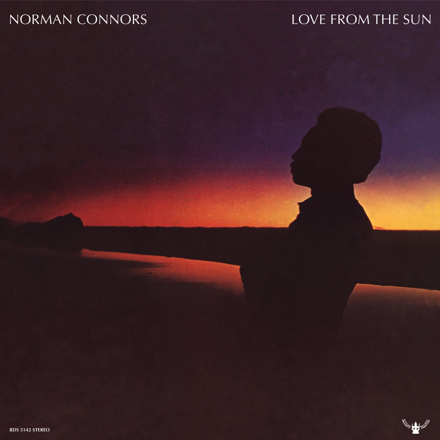Love From The Sun Vinyl Record
