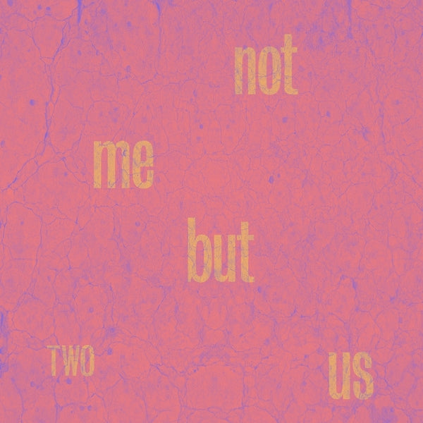 NOT ME BUT US - Two Vinyl Record
