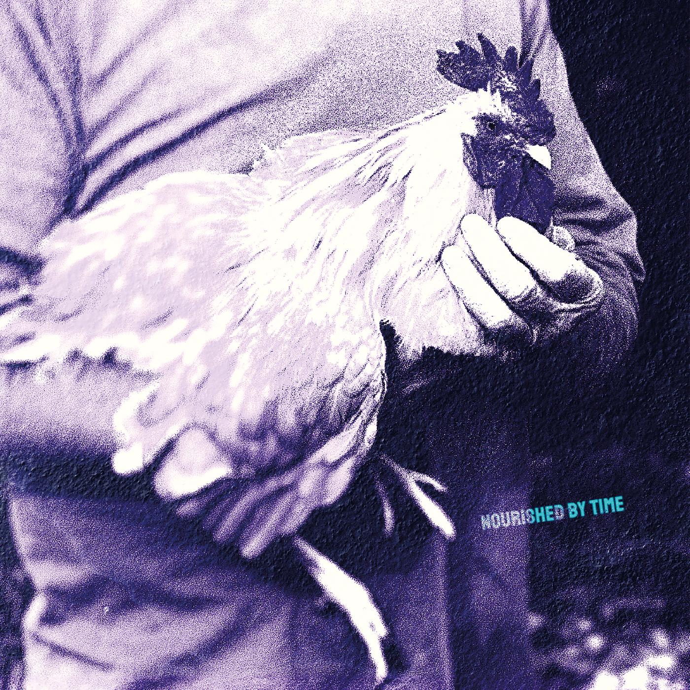 Nourished by Time - Catching Chickens EP [Vinyl] Vinyl Record