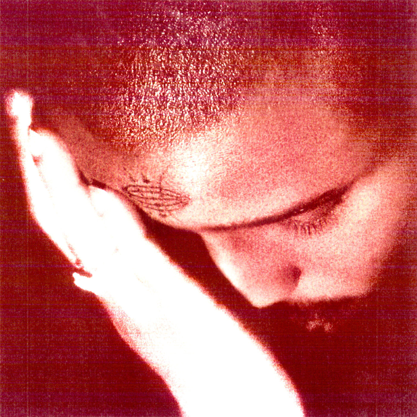 The Passionate Ones  Vinyl Record