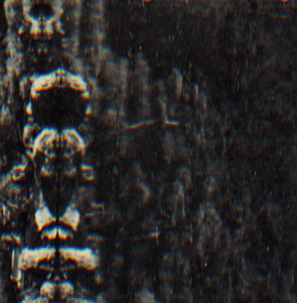 O MORTO - The Forest, The People And The Spirits Vinyl Record