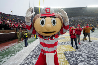 Being Brutus: Inside the Head of Ohio State's Iconic Mascot Book - PREORDER ships 11/27/2026
