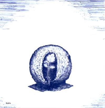 Swaying Boldly Afar  Music CD