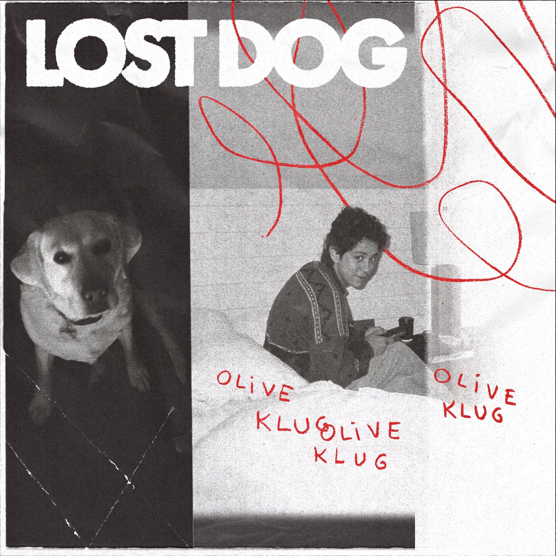 Lost Dog Music CD