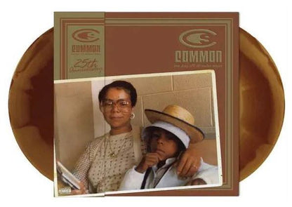 One Day It'll All Make Sense (2xLP, Caramel) [Vinyl]