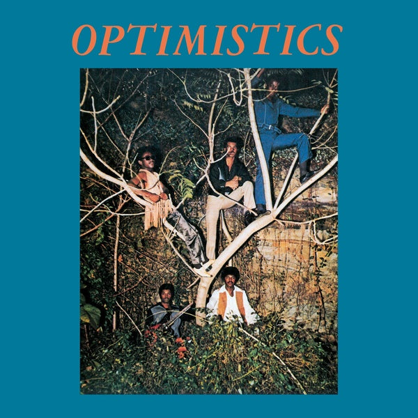 OPTIMISTICS - Optimistics Vinyl Record