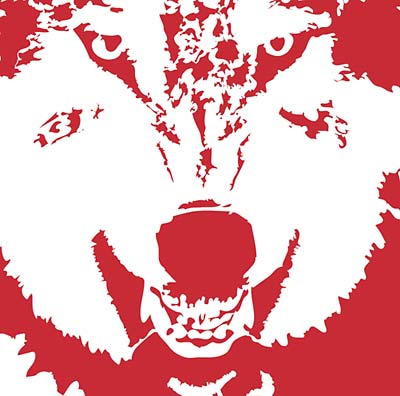 The Nethack Dictionary Vinyl Record