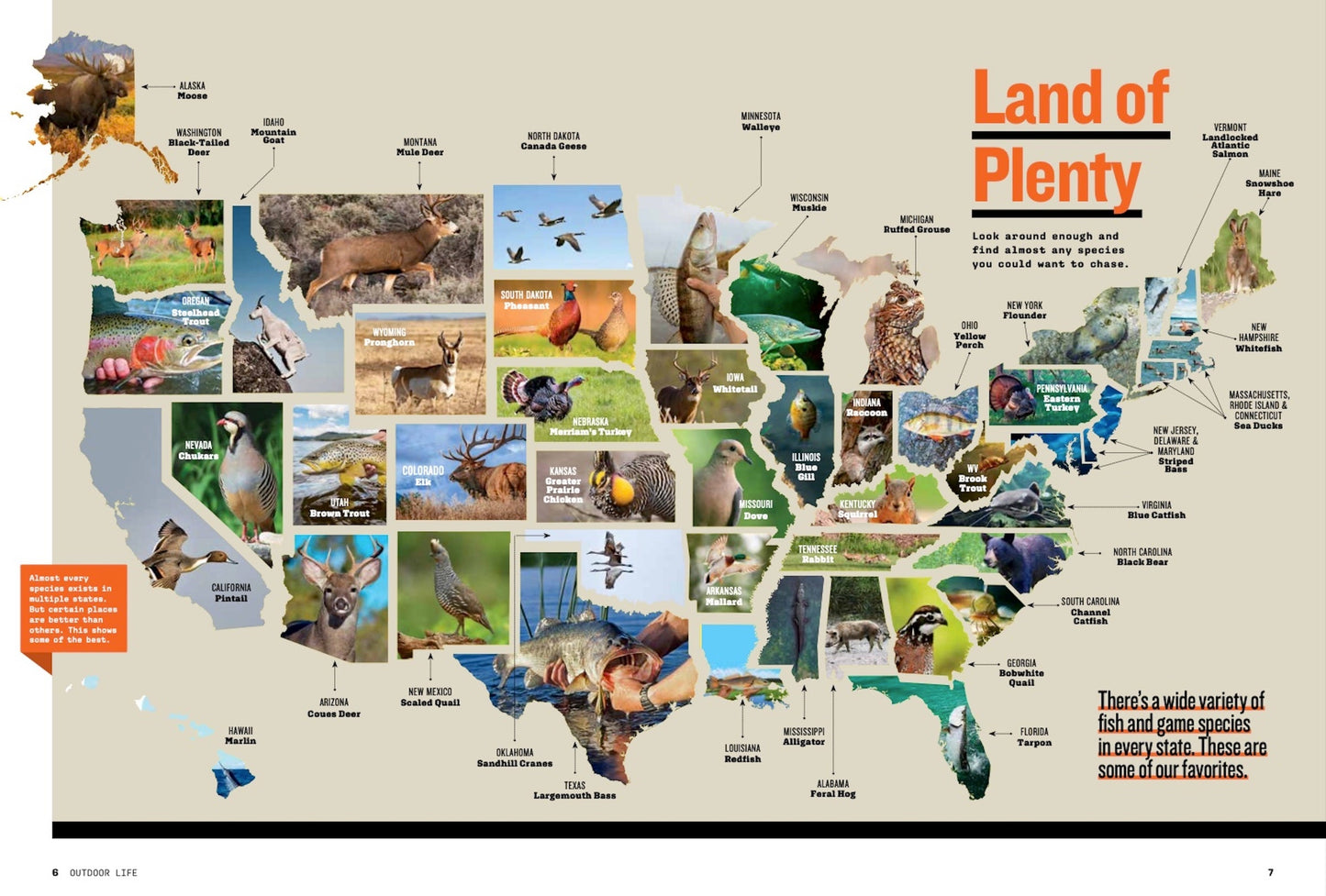 Outdoor Life - Hunting & Fishing Ultimate Guide: Tips & Tactics for Every State! Big Game, Pronghorn, Elk, Whitetail Deer, Upland Birds, Waterfowl, Small Game, Fall Fishing & More!