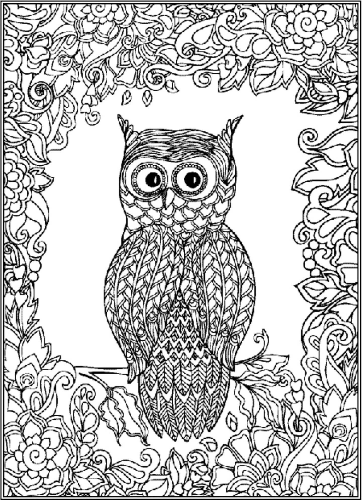 Coloring Owls - Adult Coloring book, Contains 32 Inspiring Designs To Destress From Your Day