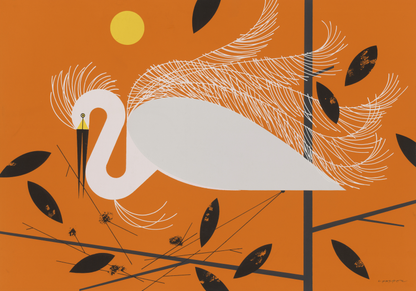 Wild Life Book