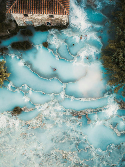 The Nature of Swimming (Updated Edition) Book