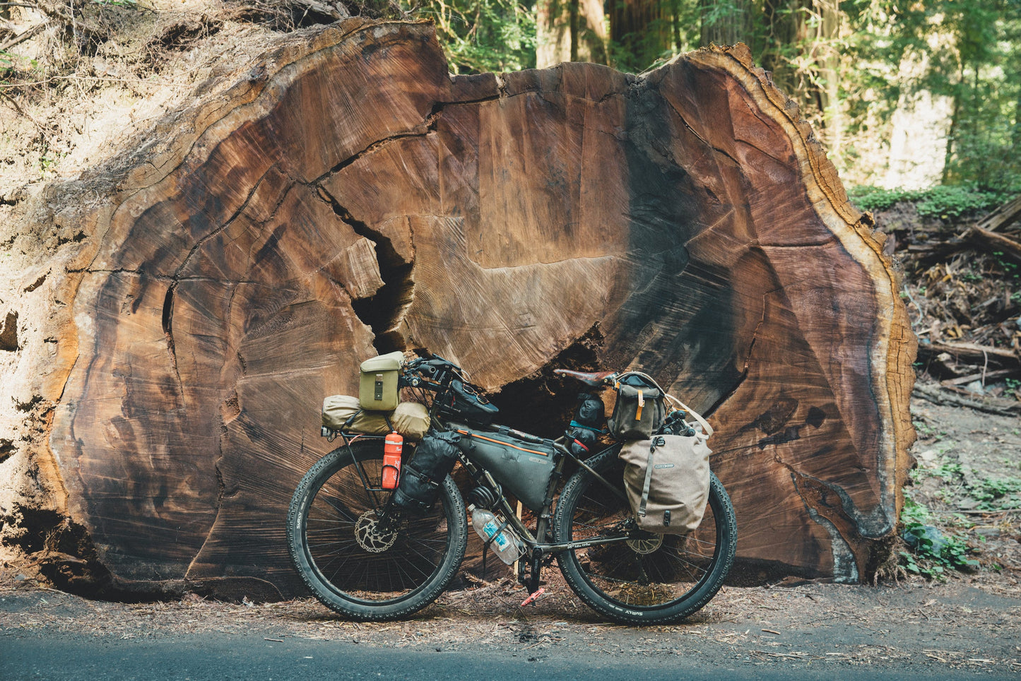 Two Years on a Bike Book