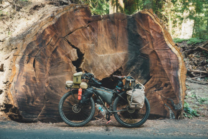 Two Years on a Bike Book