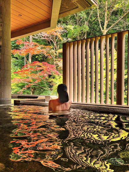 Onsen and Ryokan of Japan Book